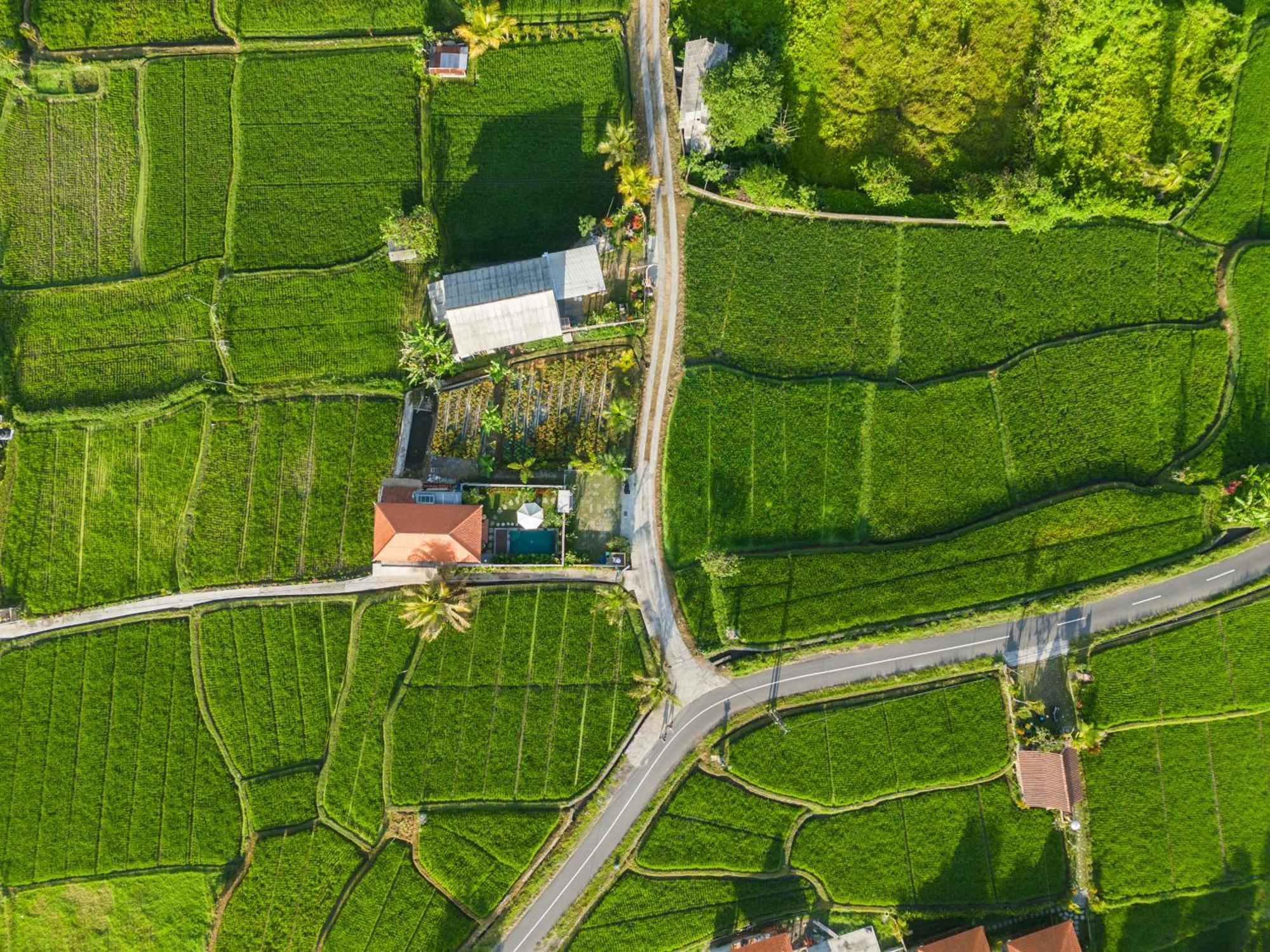 Wisana Villa Sebatu By Uniquecations Ubud Exteriör bild